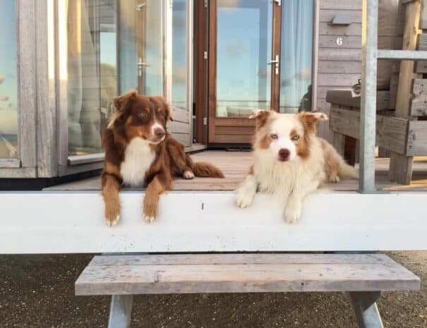 Geniet samen!